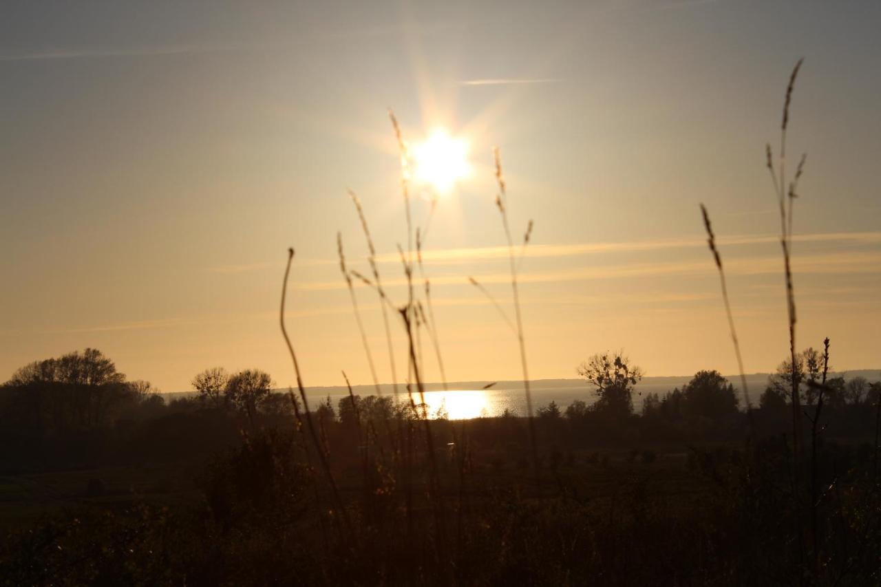Agroturystyka Pod Kogutkiem Czysta Buitenkant foto